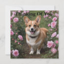 Zoek naar corgi kaarten Gelukkig