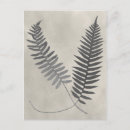 Zoek naar fern briefkaarten Bladeren
