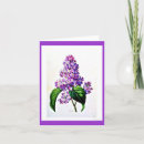 Zoek naar redoute bloemen kaarten Botanisch