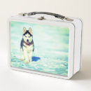 Zoek naar puppy lunchboxen Honden