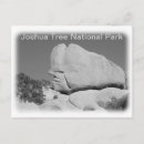 Zoek naar joshua tree national park briefkaarten Californië