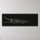 Zoek naar krokodil posters Illustratie