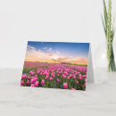 Zoek naar nederlandse kaarten Landschap