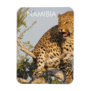 Zoek naar namibië magneten Safari