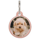 Zoek naar kerst Creëer je eigen