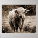 Zoek naar schotland posters Druk