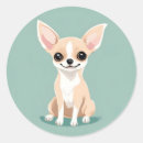 Zoek naar chihuahua stickers Schattige hond