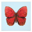 Zoek naar exotische vlinders posters Insect