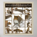 Zoek naar eekhoorn eten posters Vogel