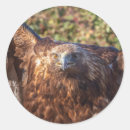 Zoek naar gericht stickers Elk persoon