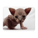 Zoek naar lelijke magneten Schattig