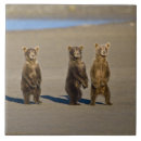 Zoek naar alaska tegels Visserij