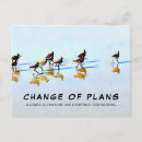 Zoek naar strandloper briefkaarten Vogels