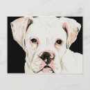 Zoek naar boxer dog briefkaarten Puppy