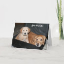 Zoek naar koffers kaarten Honden