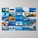 Zoek naar onderzeeër posters Schip