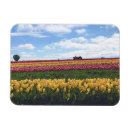 Zoek naar klompen magneten Tulpen