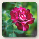 Zoek naar tiger onderzetters Bloemen