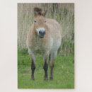 Zoek naar bruine paarden puzzels Voor iedereen