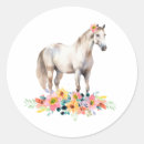 Zoek naar waterverf paarden stickers Meisje