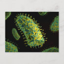 Zoek naar cytoplasma posters Organisme