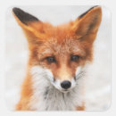 Zoek naar schattige ogen stickers Oranje