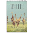 Zoek naar giraffe kalenders Safari