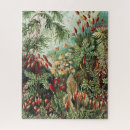 Zoek naar natuur puzzels Illustratie