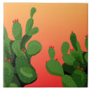 Zoek naar cactus tegels Cacti