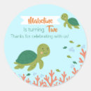 Zoek naar leuke schildpad stickers Voor kinderen