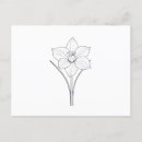 Zoek naar narcissus briefkaarten Botanisch