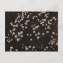 Zoek naar constellation briefkaarten Sterren