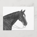 Zoek naar houtskool briefkaarten Huisdier