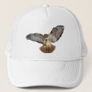 Zoek naar staart trucker petten Hawk