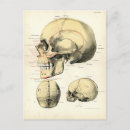 Zoek naar biologie diagram posters Antiek