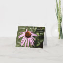 Zoek naar wijsheid kaarten Rumi