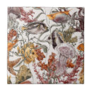 Zoek naar kwallen tegels Zeestervis