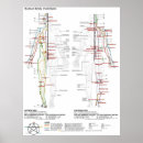 Zoek naar schematisch posters Diagram