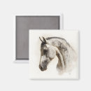 Zoek naar paarden magneten Paardrijden