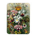 Zoek naar orchideeën magneten Natuur