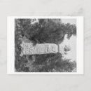 Zoek naar graven briefkaarten Foto