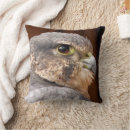 Zoek naar valken kussens Roofvogel