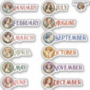 Zoek naar maandelijkse stickers Planning