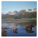 Zoek naar kubus tegels Alaska