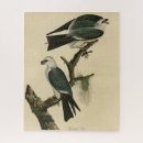 Zoek naar vliegers puzzels Vogel