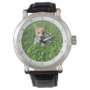 Zoek naar puppy horloges Pembroke welsh corgi