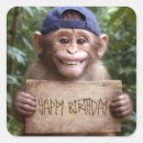 Zoek naar grappige chimpansee stickers Elk persoon