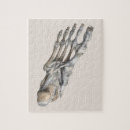 Zoek naar voeten puzzels Menselijke anatomie