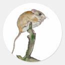 Zoek naar leuke muizen stickers Waterverf