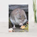 Zoek naar schotland kaarten Natuur